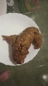 Free Scat Porn