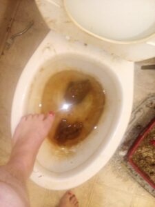 Free Scat Porn