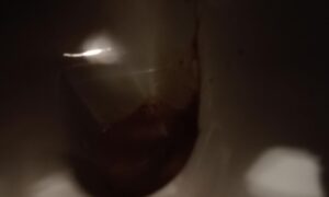 Free Scat Porn
