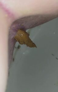 Free Scat Porn