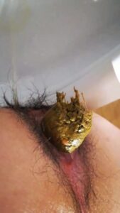 Free Scat Porn