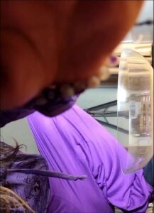Free Scat Porn