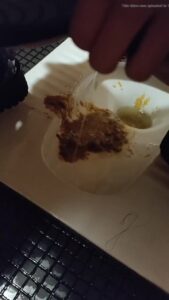 Free Scat Porn