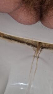 Free Scat Porn
