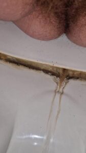 Free Scat Porn