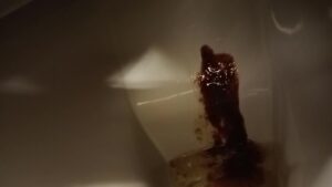 Free Scat Porn