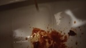 Free Scat Porn