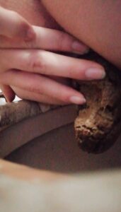 Free Scat Porn