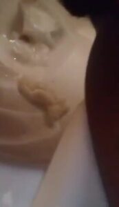 Free Scat Porn