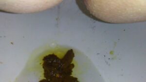 Free Scat Porn