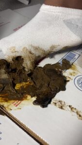 Free Scat Porn