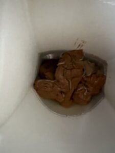 Free Scat Porn