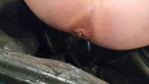 Free Scat Porn