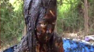 Free Scat Porn