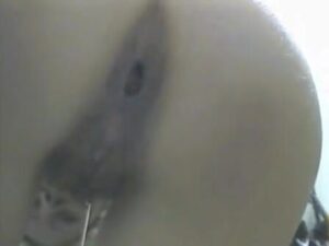 Free Scat Porn