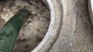 Free Scat Porn