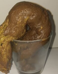 Free Scat Porn