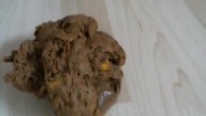 Free Scat Porn