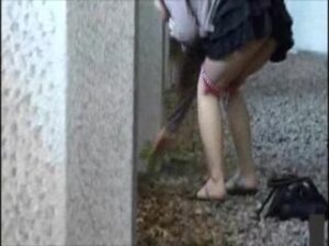 Free Scat Porn