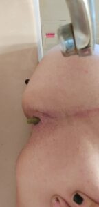 Free Scat Porn