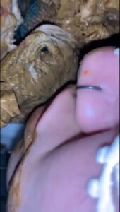 Free Scat Porn
