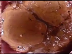 Free Scat Porn
