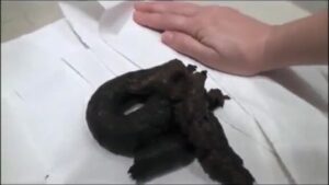 Free Scat Porn