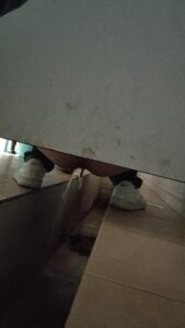 Free Scat Porn