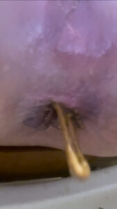 Free Scat Porn