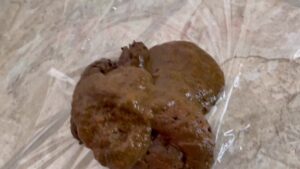 Free Scat Porn