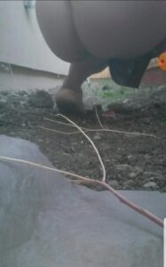 Free Scat Porn