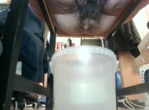 Free Scat Porn