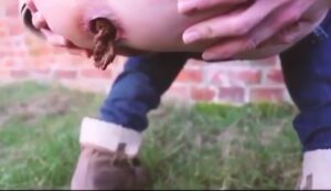 Free Scat Porn