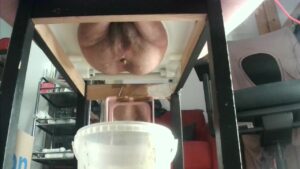 Free Scat Porn