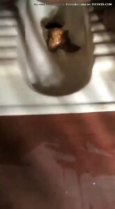 Free Scat Porn