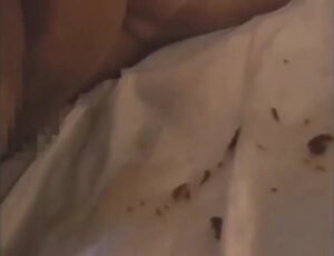 Free Scat Porn