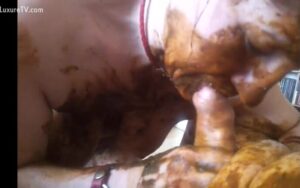 Free Scat Porn