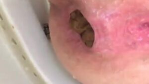 Free Scat Porn
