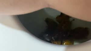 Free Scat Porn