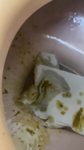 Free Scat Porn