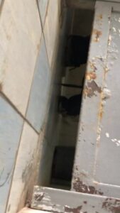 Free Scat Porn