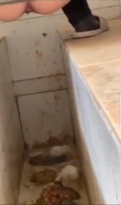Free Scat Porn