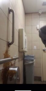 Free Scat Porn