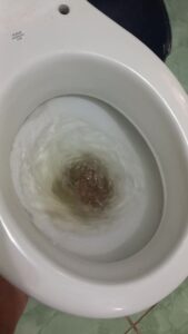 Free Scat Porn