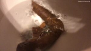 Free Scat Porn
