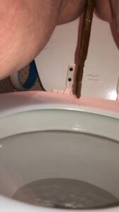 Free Scat Porn