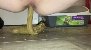 Free Scat Porn