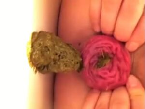 Free Scat Porn