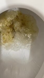 Free Scat Porn