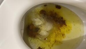 Free Scat Porn